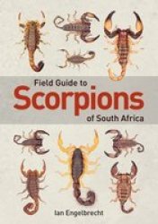 Field Guide To Scorpions Of South Africa Paperback