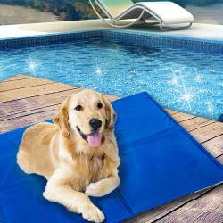 Dog Cooling Mat Reviews Online Pricecheck