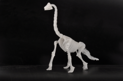 Dinosaur Glowing Kit - 3D Brachiosaurus