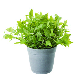 Artificial Pot Plants - Plain Leaves 21CM