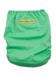 Bamboo Nappy With Microfibre Insert Sweetpea Green