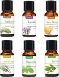 Aromatherapy Essential Oils Set Of 6