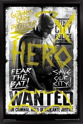 Trends International Dc Comics Movie - Batman V Superman - Fear The Bat Wall Poster 14.725" X 22.375" Black Framed Version