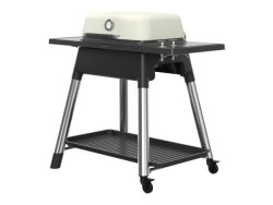 Force 2 Burner Gas Braai With Stand Stone
