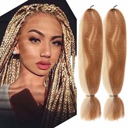 Jumbo Braiding Hair Ombre 2PACK 57G PACK Synthetic Braiding Fiber Hair  Extension For Braids Hair 48INCH 2PACK F27 613 Prices | Shop Deals Online |  PriceCheck