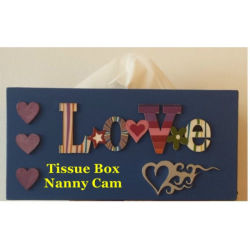 Nanny Camera Spy Tissue Box