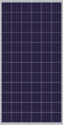 The Sun Pays - 340W Poly Perc 5BB Solar Panel