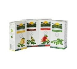 Moringa Tea - Pure Green Rooibos Lemon & Ginger Apple & Cinnamon