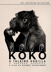 Koko:talking Gorilla - Region 1 Import DVD