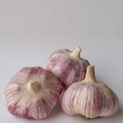 Tuscan Garlic - Heirloom Garlic - 100 Cloves Tuscan Garlic