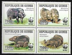 Guinea Mnh Wwf 2009 Fauna Wildlife Um