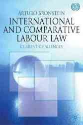 International And Comparative Labour Law - Arturo Bronstein Paperback