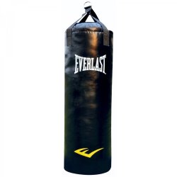 everlast training bag