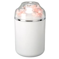 Preserved Fresh Flower Humidifier