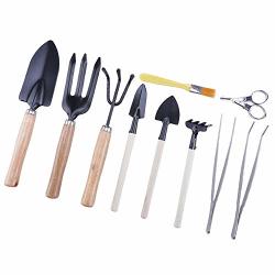 Amatted 10 Pcs Bonsai Tool Kit MINI Garden Hand Tool Set With Pruner MINI Rake MINI Spatule Tweezer Bud & Leaf Trimmer Set For