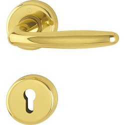 Hoppe Roissy Door Handle Set With Rosette Pz Polished Brass Double Cylinder Lock 3066793