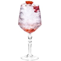Rcr 26522020006 Crystal Glassware Alkemist Cocktail Glasses Gin Glasses 670 Ml Set Of 6