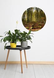 Superbalist Wall Dots Forest Path Wall Dot Decal