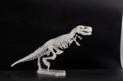 Dinosaur Glowing Kit - 3D T-rex