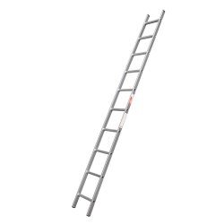 Ladder 10 Step Lean To