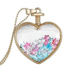 Women Dry Flower Heart Glass Wishing Bottle Pendant Necklace By Topunder