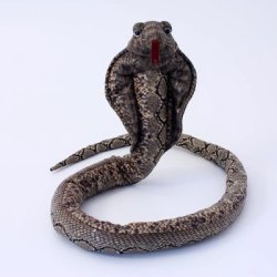 Snake Cobra 150 Cm