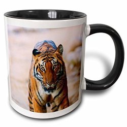 3DROSE 225621_4"ROYAL Bengal Tiger On The Ramganga River Corbett Np Two Tone Mug 11 Oz Black