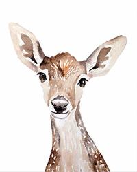 Nojo 2024 watercolor deer