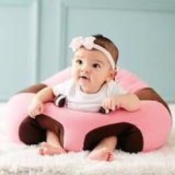 Pink Mocha Hugaboo Baby Seat