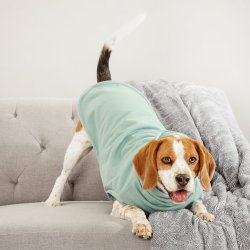 Make Mine A Mojito Dog Jersey - Xxs Extra Length