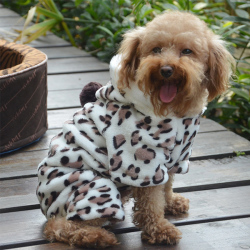 Winter Doggy Outfit - Hoody Super Soft Xxl
