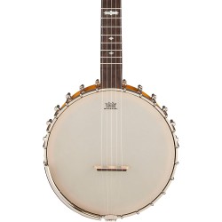 Gretsch Guitars G9455 Dixie Special Banjo