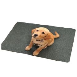 Doormat Interior Puppy Labrador