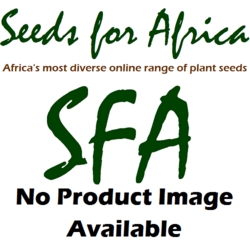 Sparaxis Villosa - Indigenous South African Bulb - 10 Seeds - Default