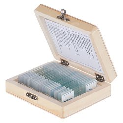 Amscope PS25W Prepared Microscope Slide Set For Basic Biological Science Education 25 Slides Includes Fitted Wooden Case