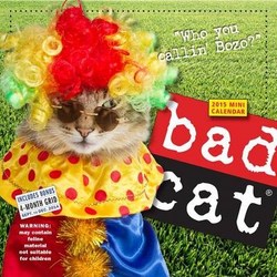 Bad Cat 2015 Mini Calendar