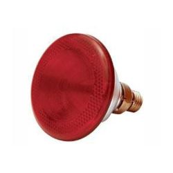 - Poultry Infra Red Lamp 175W 1 100