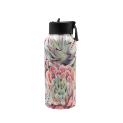 Succulent Selection Stainless Steel Hot And Cold Flask - Straw Lid - 540ML