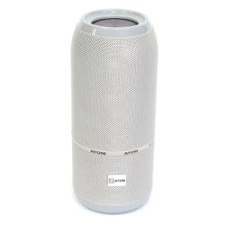 atom bluetooth speaker price