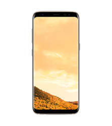 CPO Samsung Galaxy S8 Plus 64GB in Gold