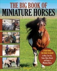 The Big Book Of Miniature Horses - Everything You Need To Know To Buy Care For Train Show Breed And Enjoy A Miniature Horse Of Your Own Paperback