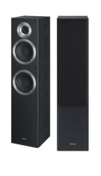 tall pioneer speakers