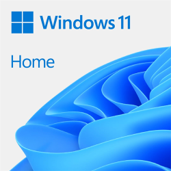 Windows 11 Home DVD Single User License