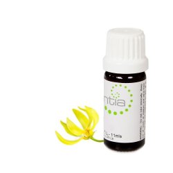 Escentia Ylang Ylang III Pure Essential Oil - 100ML