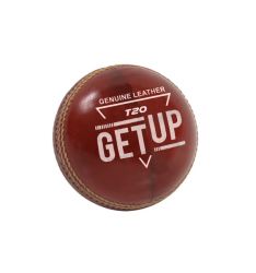 T20 2PC Cricket Ball