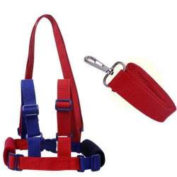 Kids Safety Harness - Blue & Red