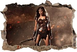Wonder Woman Batman V Superman Smashed Wall Decal Graphic Wall Sticker Art H400 Giant