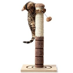 a cat scratching post