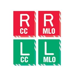 Pdc Healthcare MRK-317 X-ray Marker - Abbreviated "r And L - Cc mlo" Polycarbonate 1-1 16" X 1-3 16" X 1 8" Red green Pack Of 4