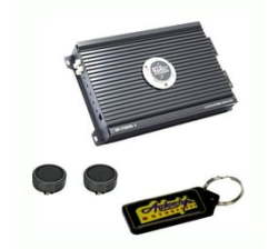 Ice Power 7000W 1 Channel Car Audio Amplifier & Evo Tweeters & Key Holder